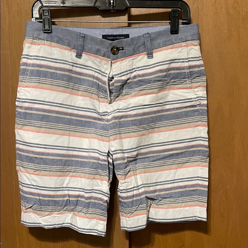 Tommy Hilfiger Men's Multicolor Striped Shorts
